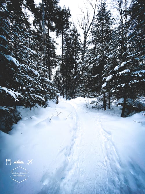 Snowshoeing: Cap de la Fée