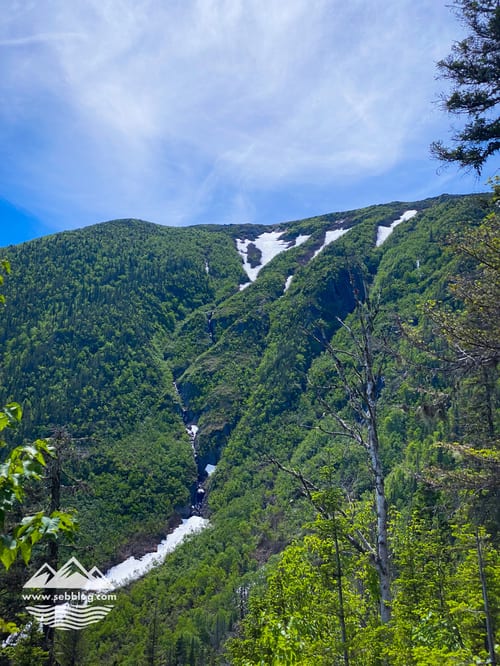 Randonnée : Mont Albert (versant nord)
