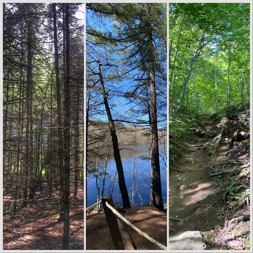 3 Hikes in Montérégie