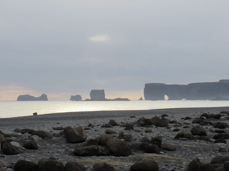 7516831136_IMG_1038