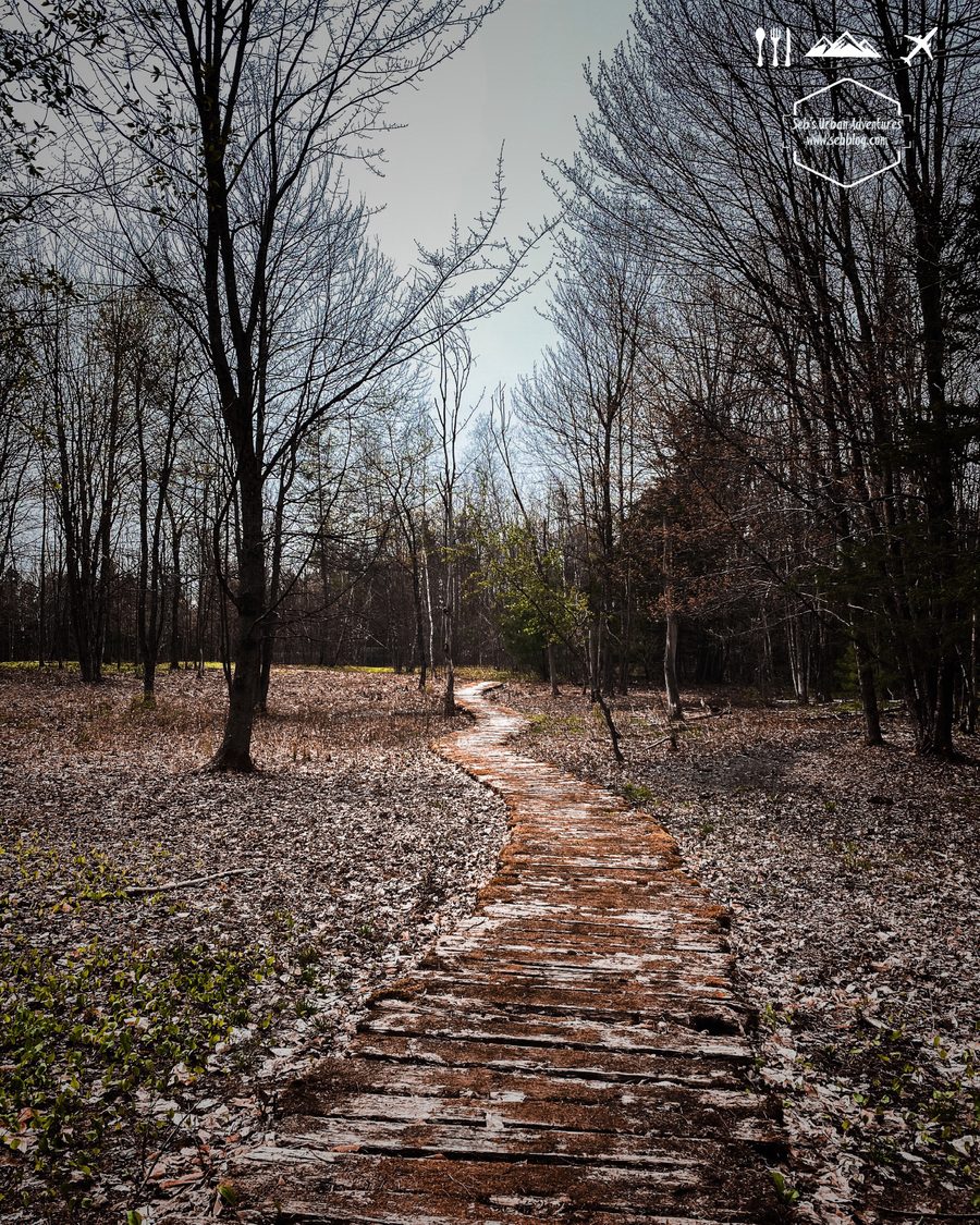 Hiking: Village Mountain Trail