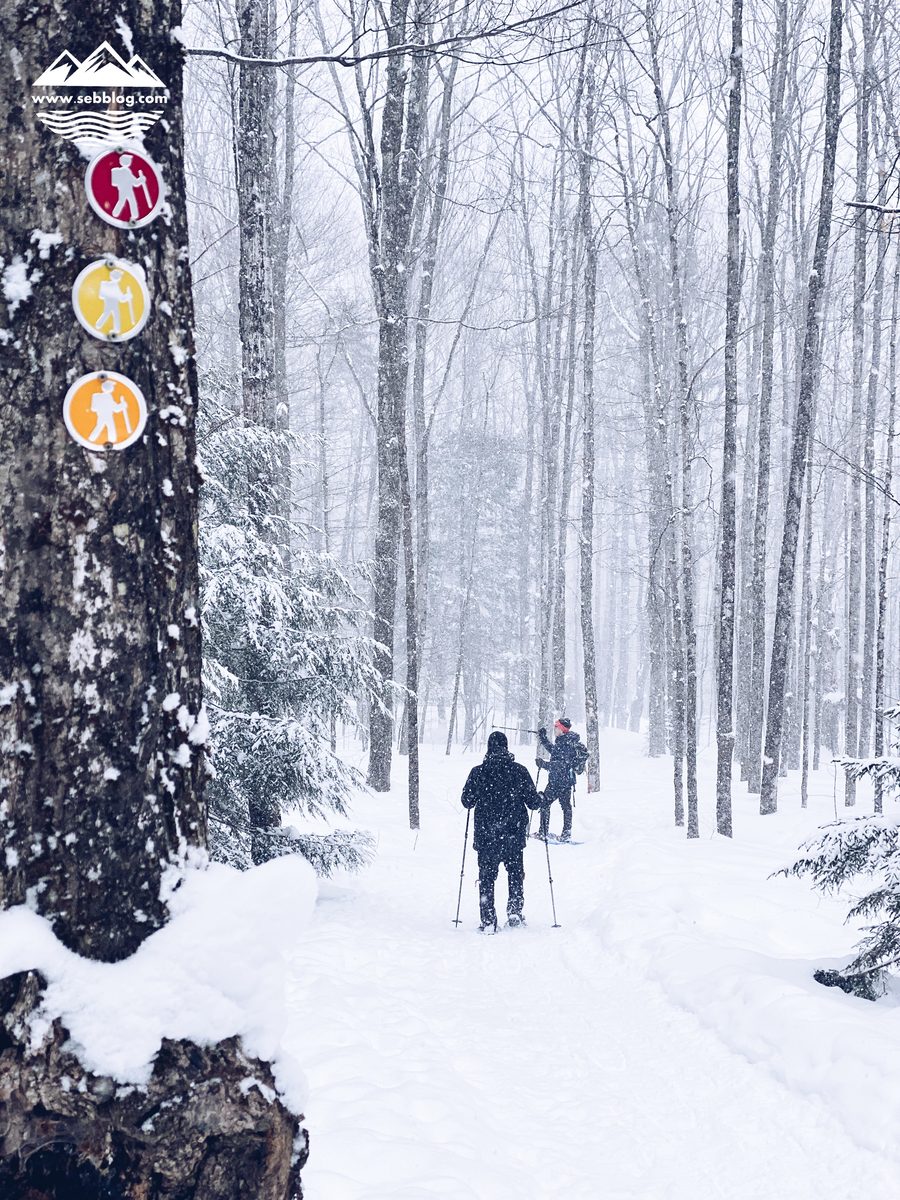 Snowshoeing: Au Diable Vert Yellow Trail
