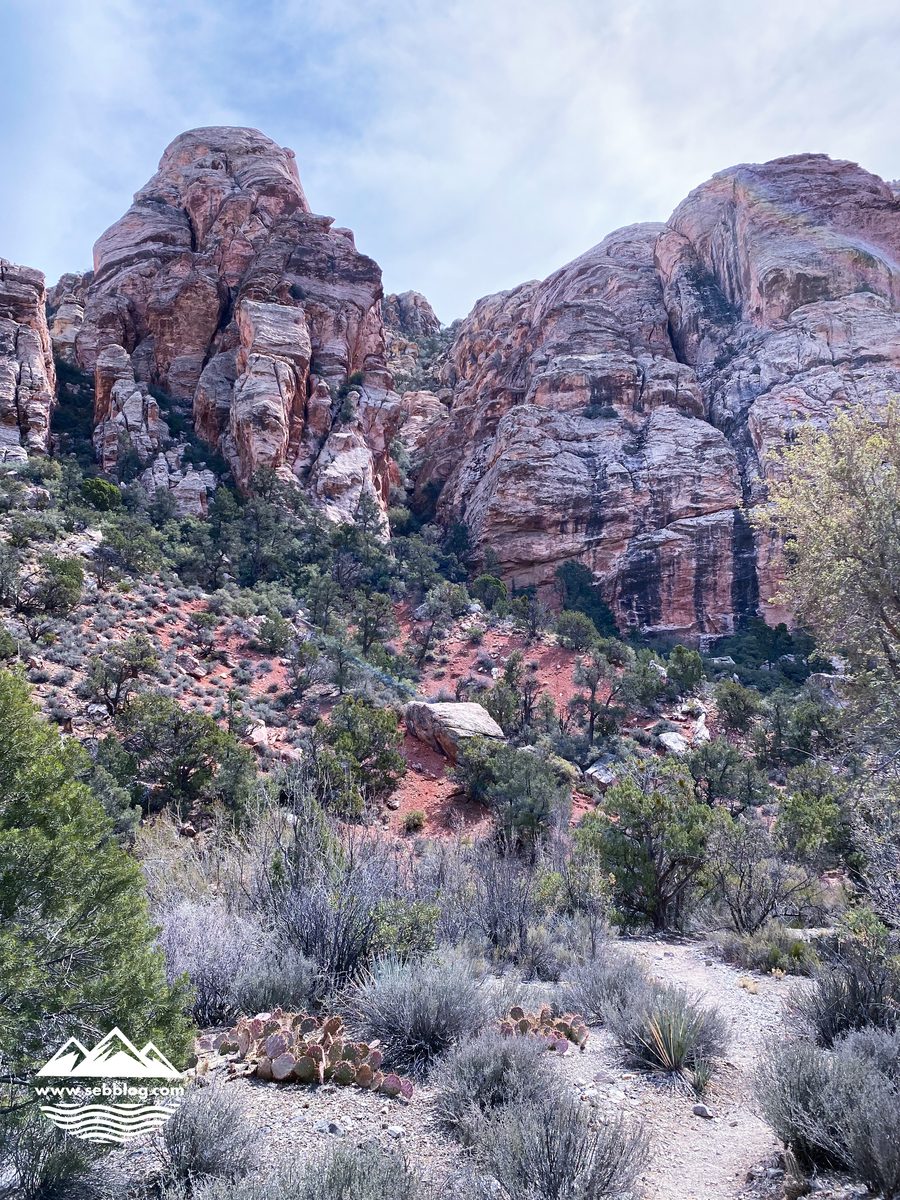 Hiking: White Rock Hills loop