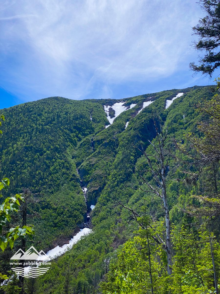 Randonnée : Mont Albert (versant nord)