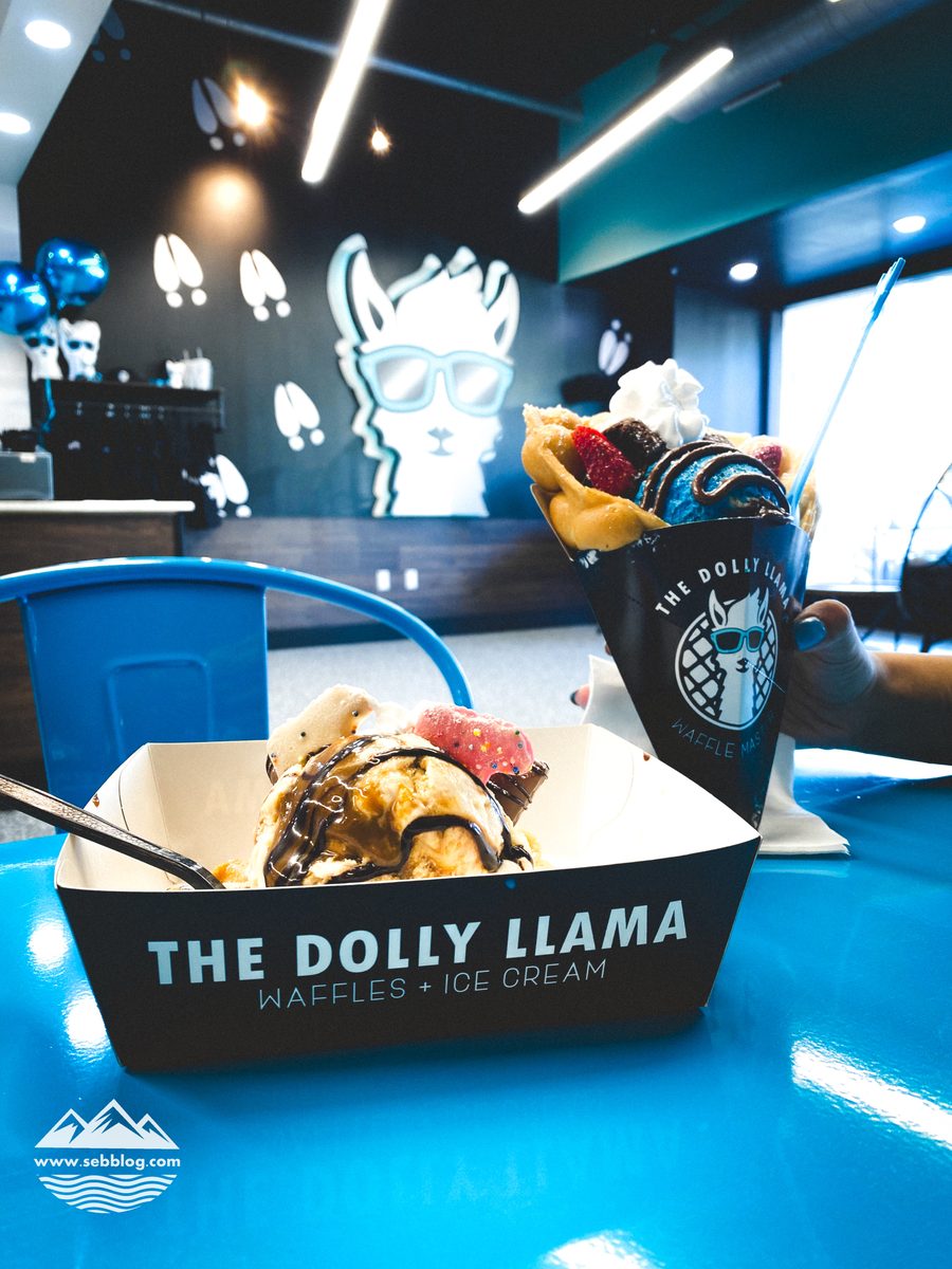 The Dolly Llama: Cookies and Cream Overload and the Signature Waffle Cone